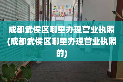 成都武侯区哪里办理营业执照(成都武侯区哪里办理营业执照的)