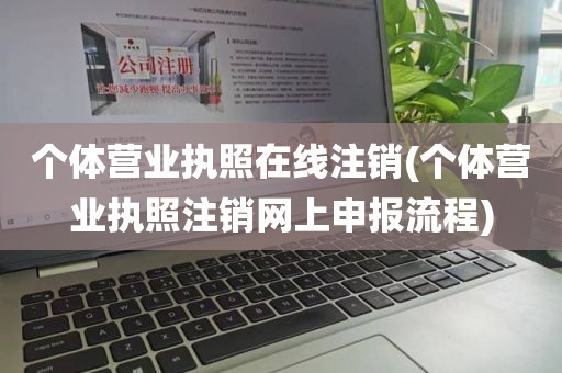 个体营业执照在线注销(个体营业执照注销网上申报流程)