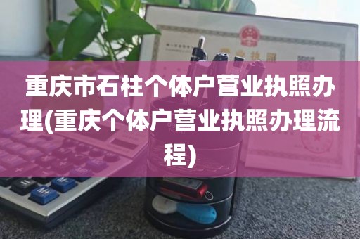 重庆市石柱个体户营业执照办理(重庆个体户营业执照办理流程)