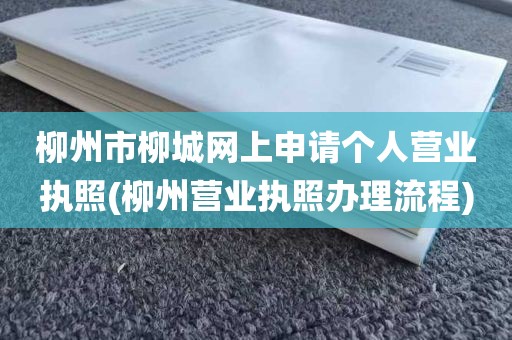 柳州市柳城网上申请个人营业执照(柳州营业执照办理流程)