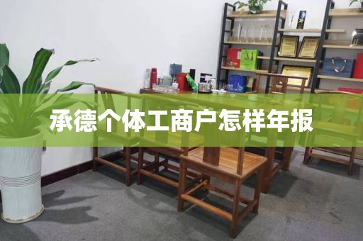 承德个体工商户怎样年报