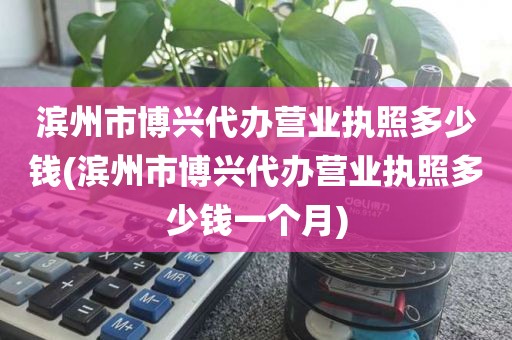 滨州市博兴代办营业执照多少钱(滨州市博兴代办营业执照多少钱一个月)