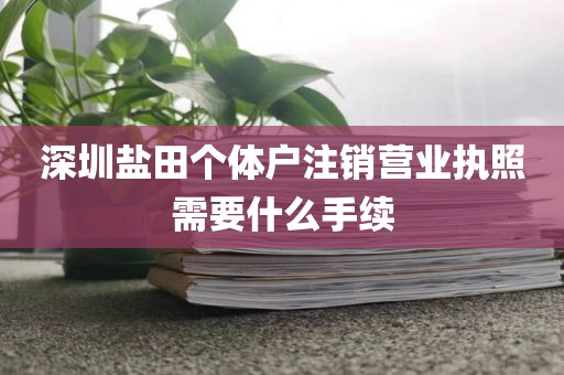 深圳盐田个体户注销营业执照需要什么手续