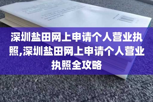 深圳盐田网上申请个人营业执照,深圳盐田网上申请个人营业执照全攻略