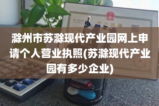 滁州市苏滁现代产业园网上申请个人营业执照(苏滁现代产业园有多少企业)