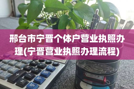 邢台市宁晋个体户营业执照办理(宁晋营业执照办理流程)