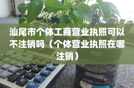 汕尾市个体工商营业执照可以不注销吗（个体营业执照在哪注销）