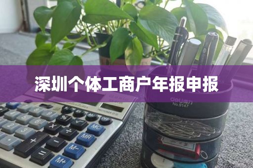 深圳个体工商户年报申报