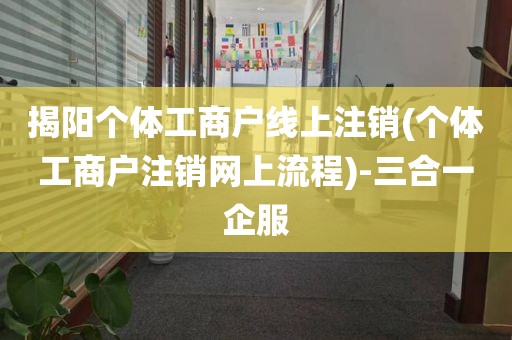 揭阳个体工商户线上注销(个体工商户注销网上流程)-三合一企服