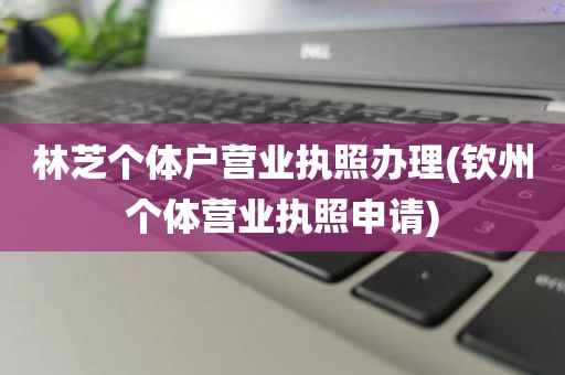 林芝个体户营业执照办理(钦州个体营业执照申请)