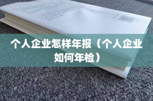 个人企业怎样年报（个人企业如何年检）