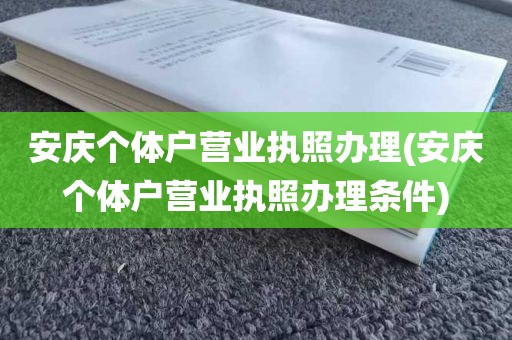 安庆个体户营业执照办理(安庆个体户营业执照办理条件)
