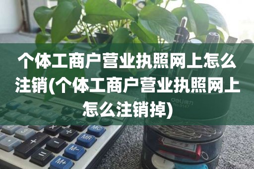 个体工商户营业执照网上怎么注销(个体工商户营业执照网上怎么注销掉)