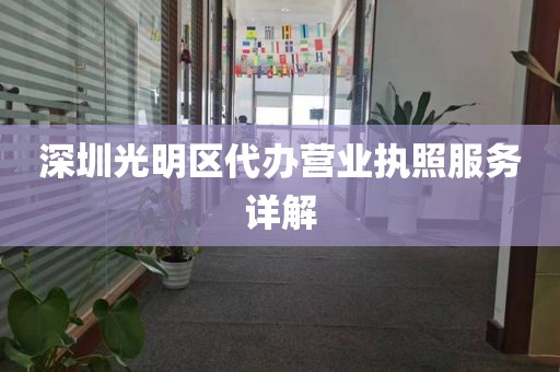 深圳光明区代办营业执照服务详解