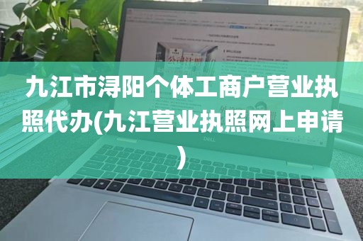 九江市浔阳个体工商户营业执照代办(九江营业执照网上申请)