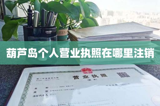 葫芦岛个人营业执照在哪里注销