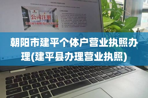 朝阳市建平个体户营业执照办理(建平县办理营业执照)
