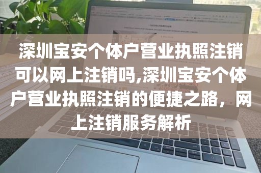 深圳宝安个体户营业执照注销可以网上注销吗,深圳宝安个体户营业执照注销的便捷之路，网上注销服务解析