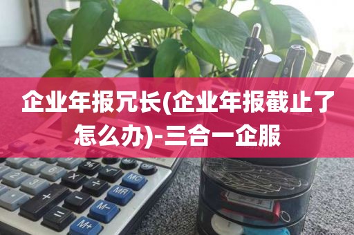 企业年报冗长(企业年报截止了怎么办)-三合一企服