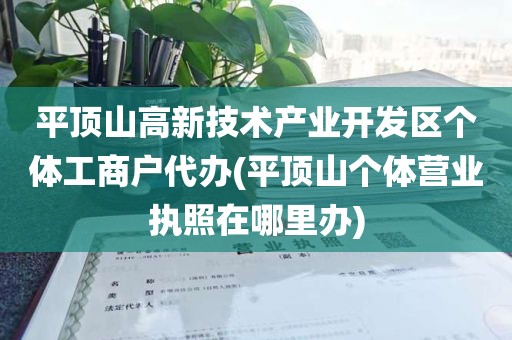 平顶山高新技术产业开发区个体工商户代办(平顶山个体营业执照在哪里办)