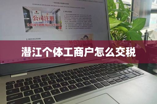 潜江个体工商户怎么交税