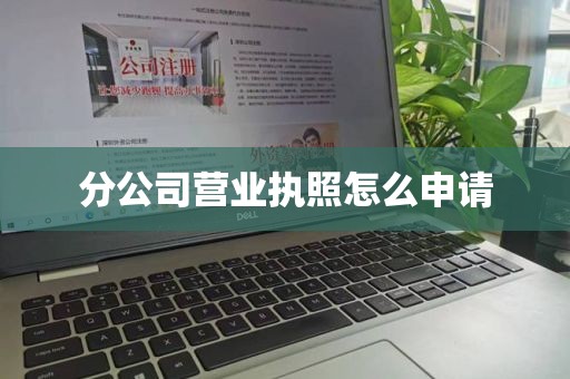 分公司营业执照怎么申请