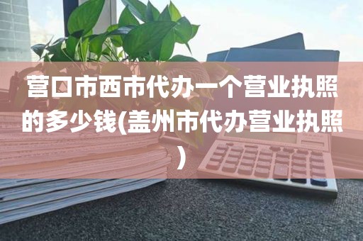 营口市西市代办一个营业执照的多少钱(盖州市代办营业执照)