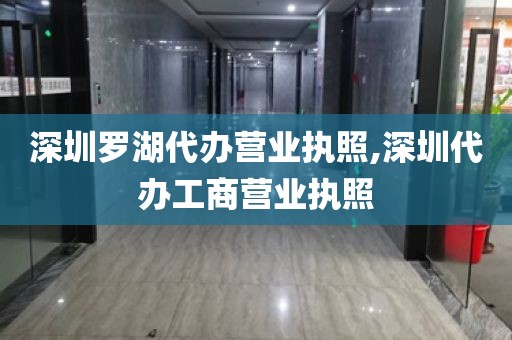 深圳罗湖代办营业执照,深圳代办工商营业执照
