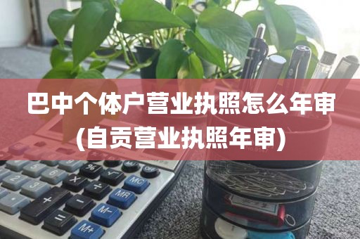巴中个体户营业执照怎么年审(自贡营业执照年审)