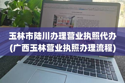 玉林市陆川办理营业执照代办(广西玉林营业执照办理流程)