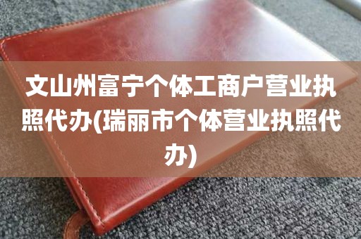文山州富宁个体工商户营业执照代办(瑞丽市个体营业执照代办)