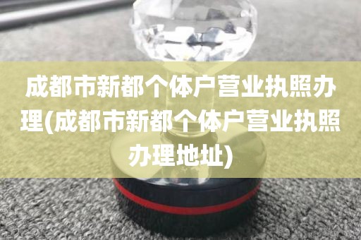 成都市新都个体户营业执照办理(成都市新都个体户营业执照办理地址)