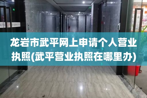 龙岩市武平网上申请个人营业执照(武平营业执照在哪里办)