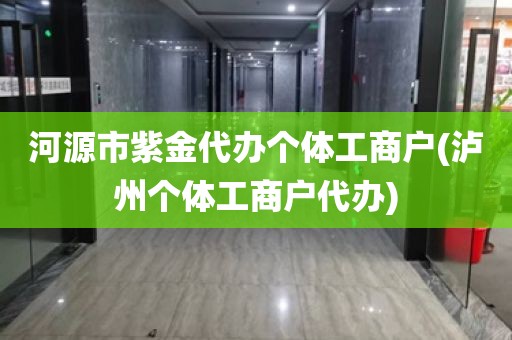 河源市紫金代办个体工商户(泸州个体工商户代办)