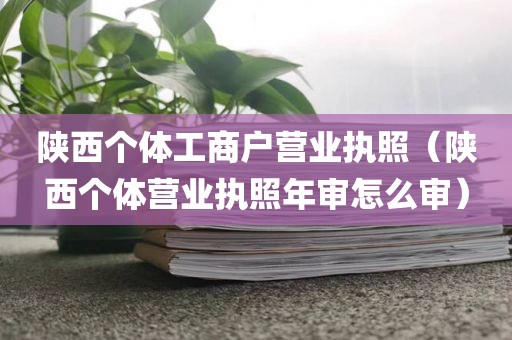 陕西个体工商户营业执照（陕西个体营业执照年审怎么审）