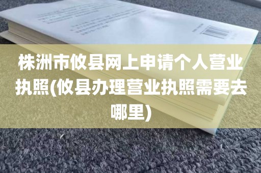 株洲市攸县网上申请个人营业执照(攸县办理营业执照需要去哪里)