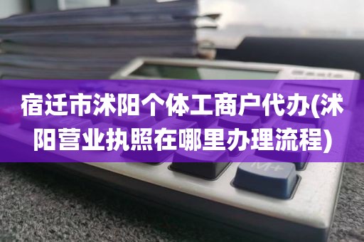 宿迁市沭阳个体工商户代办(沭阳营业执照在哪里办理流程)
