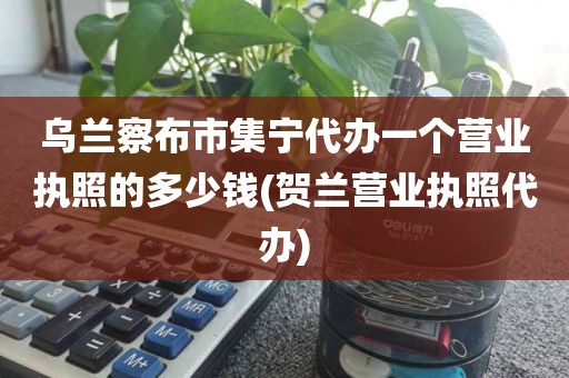 乌兰察布市集宁代办一个营业执照的多少钱(贺兰营业执照代办)
