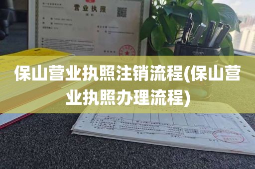 保山营业执照注销流程(保山营业执照办理流程)