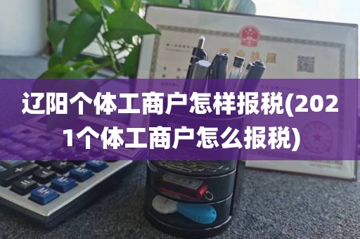 辽阳个体工商户怎样报税(2021个体工商户怎么报税)