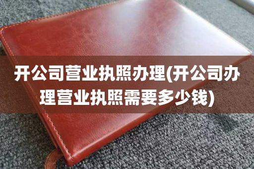 开公司营业执照办理(开公司办理营业执照需要多少钱)