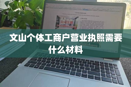 文山个体工商户营业执照需要什么材料