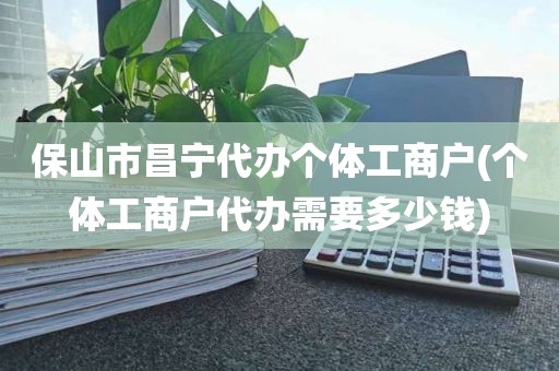 保山市昌宁代办个体工商户(个体工商户代办需要多少钱)