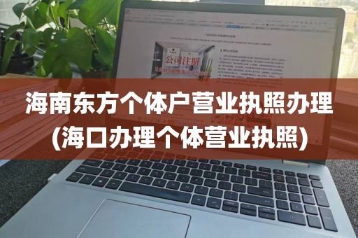 海南东方个体户营业执照办理(海口办理个体营业执照)