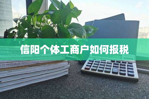 信阳个体工商户如何报税
