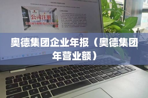 奥德集团企业年报（奥德集团年营业额）
