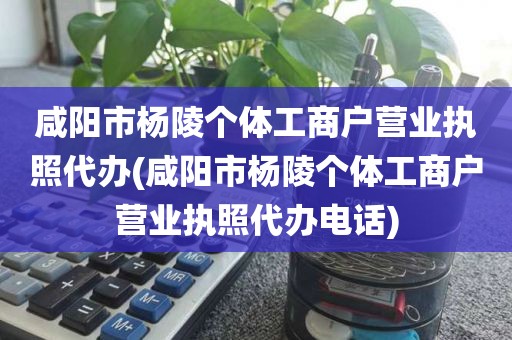 咸阳市杨陵个体工商户营业执照代办(咸阳市杨陵个体工商户营业执照代办电话)