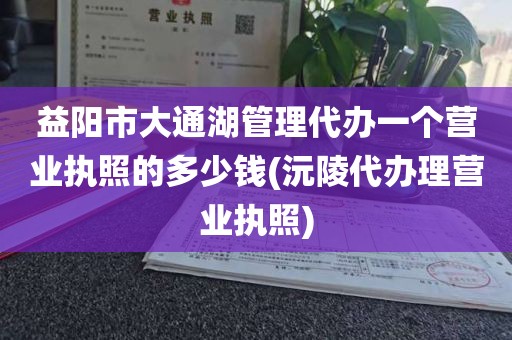 益阳市大通湖管理代办一个营业执照的多少钱(沅陵代办理营业执照)