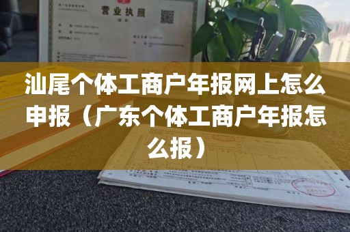 汕尾个体工商户年报网上怎么申报（广东个体工商户年报怎么报）