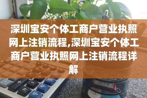 深圳宝安个体工商户营业执照网上注销流程,深圳宝安个体工商户营业执照网上注销流程详解